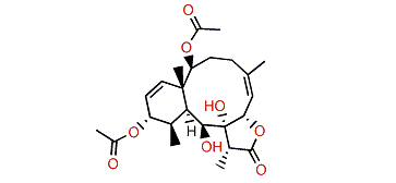 Solenolide F